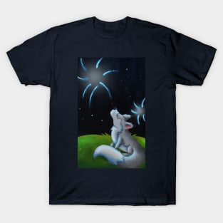 Fireworks Show T-Shirt